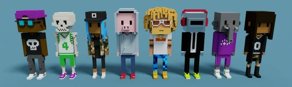 Collection of Meebits NFTs