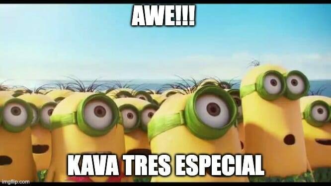 kava crypto explained