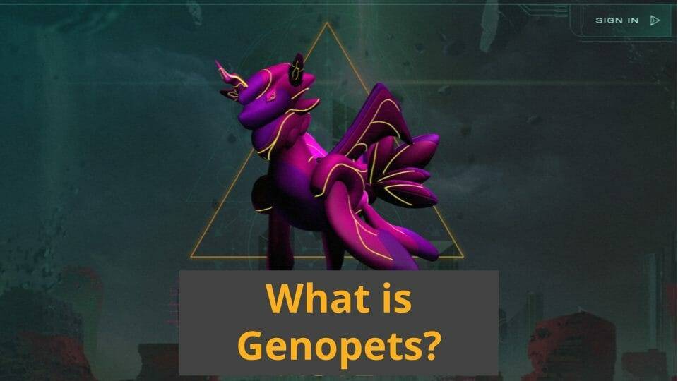 Genopets crypto explained