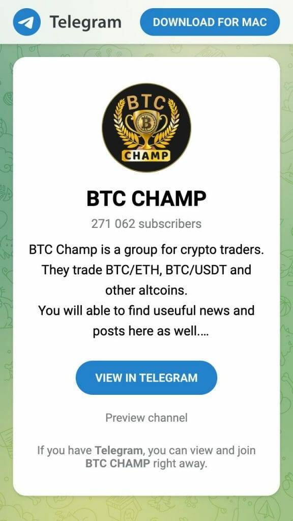 BTC champ Telegram