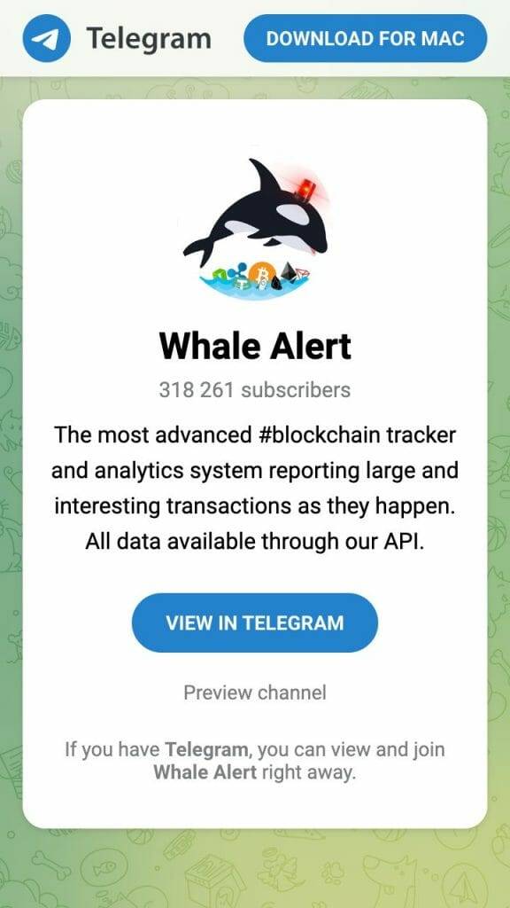 whale alert crypto telegram group