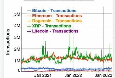 dogecoin vs top coins daily transactions