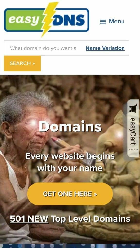easy DNS homepage