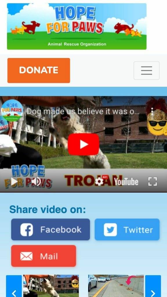 hope for paws accept dogecoin
