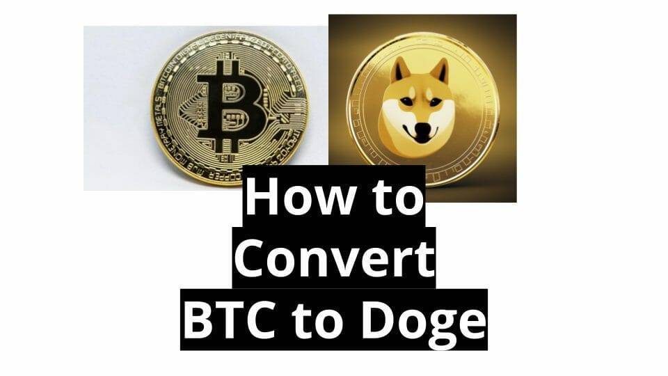 how to convert bitcoin to dogecoin