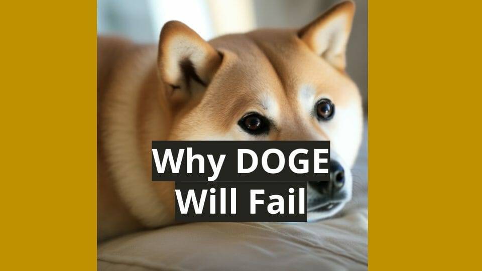 why dogecoin will fail