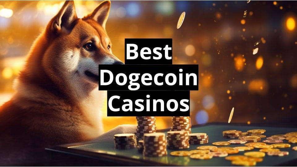 best dogecoin casinos
