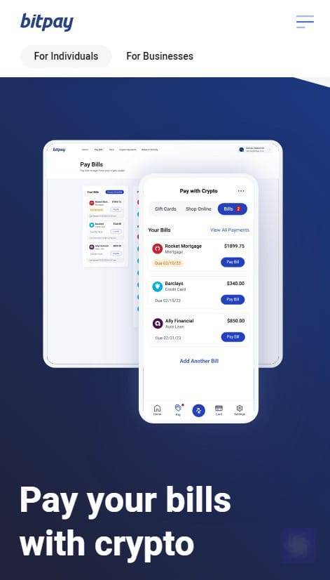 BitPay payment solutions