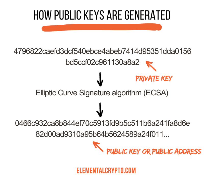 infographic how public keys are generated