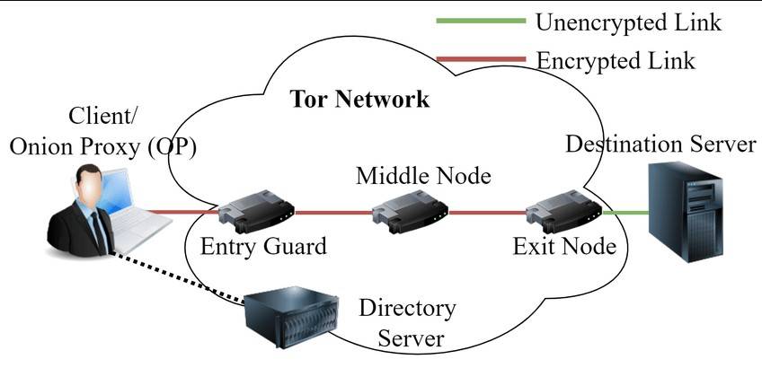 The Tor Network schema