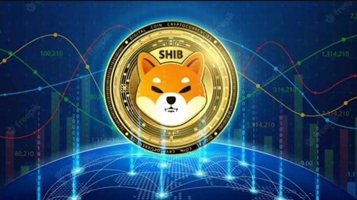 SHIB coin for stocks?