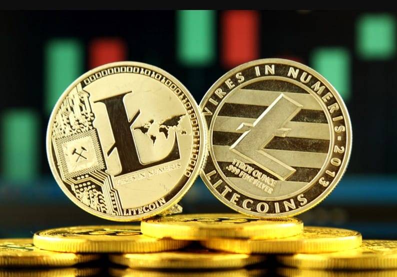 New LTC coins