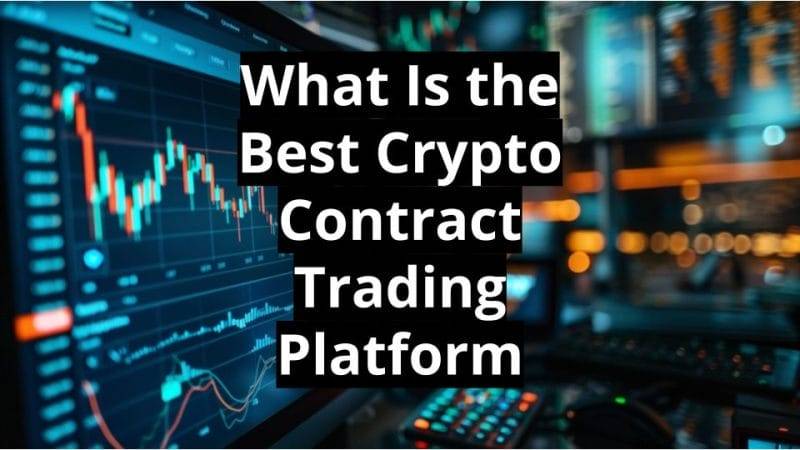 What Is the Best Crypto Contract Trading Platform