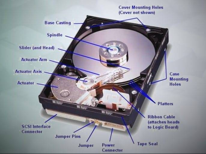 Crypto mining rig - Hard Disk Drive 