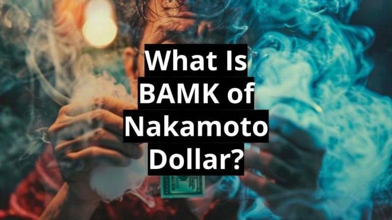 What Is Bamk of Nakamoto Dollar?